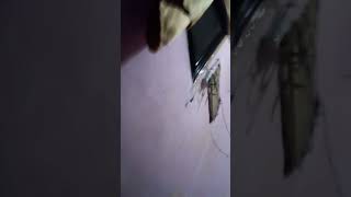 Ttttttttttttttttttttttttttttttttttttttttttttttttttttttttttttttttttttttttttttttttttttttttttttttttttt