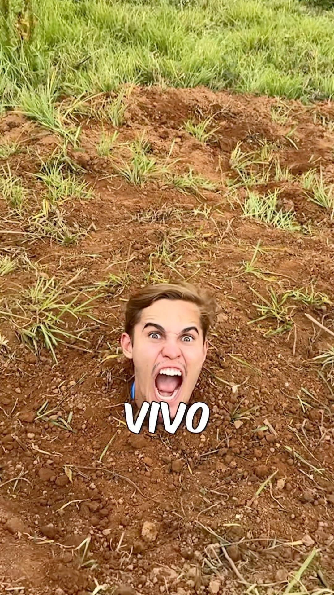 Será Que As GALINHAS Vão Me Bicar? #shorts