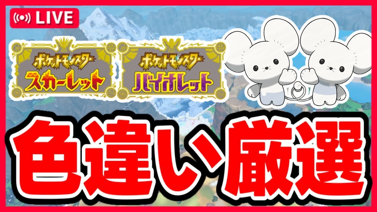 ポケモンSV】色違い厳選イッカネズミ3匹家族 - YouTube