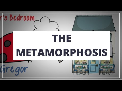 THE METAMORPHOSIS BY FRANZ KAFKA - ANIMATED SUMMARY