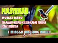 MASTERAN MURAI BATU JEDA 2 MENIT SUARA AIR-KENARI-CILILIN-KAPAS TEMBAK link mp3 ada di deskripsi