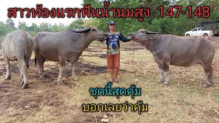 ฟันน้ำนม สูง 147-148 ชุด3ตัวลุ้น4หัวใจ กล้วยหนองบัว  ฟ้าประทาน  เม็ดเงิน  ช้างอุดร  เพชรอุดรจูเนียร์