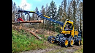 🌲 *the NEW one* • WFW Ecolog 688F • CabView • Harvester in Action • Forsttechnik Achenbach 🌲