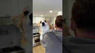 There’s no “i” in “team”