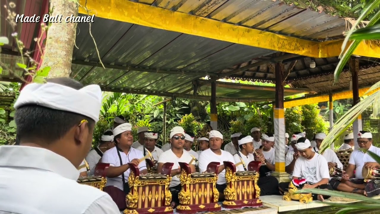 Tabuh angklung bali #tabuhangklung #tabuh #gambelan #angklung