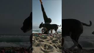 Funny Sports Fails | Funniest Sports Moments, Epic Fails &amp; Hilarious Reactions