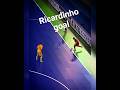 шедевральний гол капітана збірної Португалії - Ricardinho🔥💯🔥#ricardinho#edit#fyp#viral#fouryou
