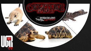 Creature Feature 5/3/19