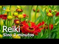 Reiki 3 minutos com sino limpa as energias negativas equilibra os chakras e a aura