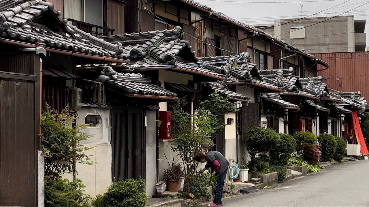 Прогулка по Наре, Япония [4K HDR]