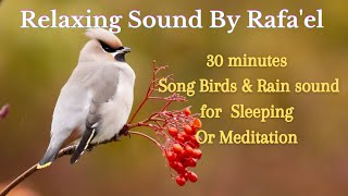 30 minutes rain with bird singing for your deep sleep or Meditation