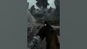 Here It Is Up Close in Stalker Gamma #shorts #stalker2 #stalker #anomaly #stalkeranomaly #fps #games