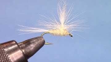 Parachute Light Cahill - Hackle tied off on the shank of the hook