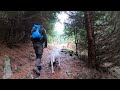 Hiking and outdoor  with dogo