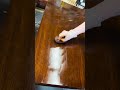 Flooding the pores #antiquefurniture #frenchpolishing #diy #woodworking #furniturerestoration