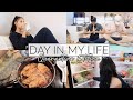 A day in quarantine vlog grocery haul cook with me things to do