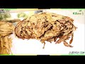 MUONGOZO WA KILIMO CHA TUMBAKU NA MADALAJA YAKE 