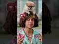 كلها صفراا اكسبلور