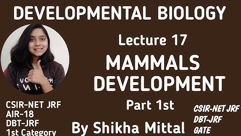 Mammals Development - DEVELOPMENTAL BIOLOGY CSIR-NET JRF LIFESCIENCE