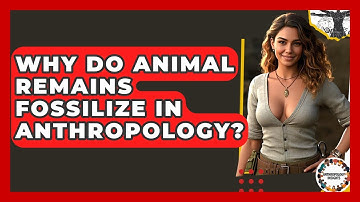 Why Do Animal Remains Fossilize In Anthropology? - Anthropology Insights