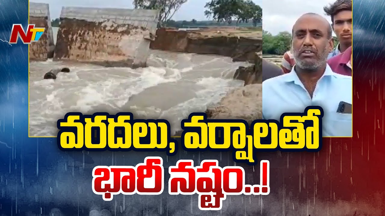Massive Crop Damage Due To Heavy Rains In Karimnagar | Ntv - YouTube