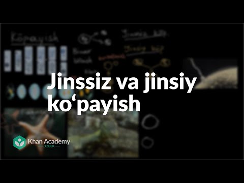 Video: Organizmlar jinssiz qanday ko'payadi?