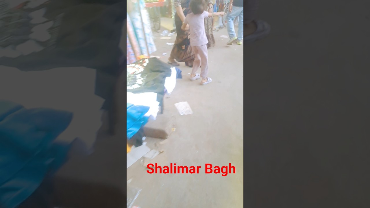 Ver Delhi Live Show Masoom Sharma Shalimar Bagh Haryanvi Singer Dj Song 2026 no YouTube Ver Delhi Live Show Masoom Sharma Shalimar Bagh Haryanvi Singer Dj Song 2026 no YouTube