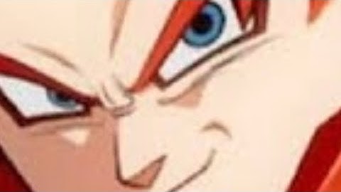 SSJ4 Gogeta fuzzy is not fair again