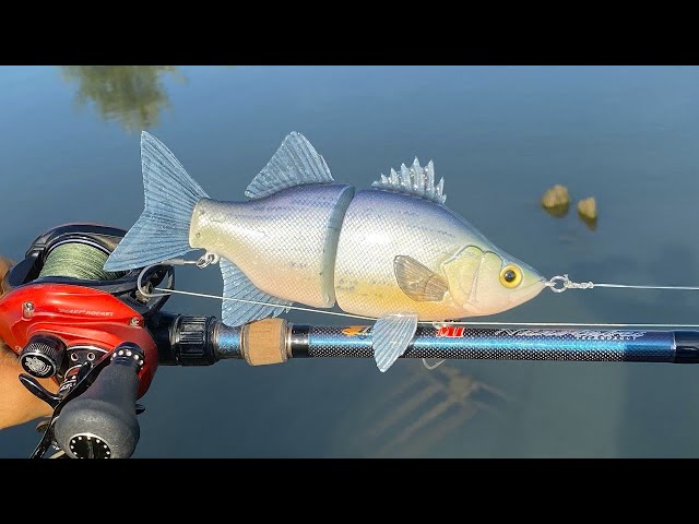 Making a White Bass SwimBait 