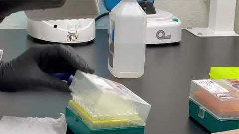 UST TELL-Seq Workflow Episode 1: How to cut the pipette tips