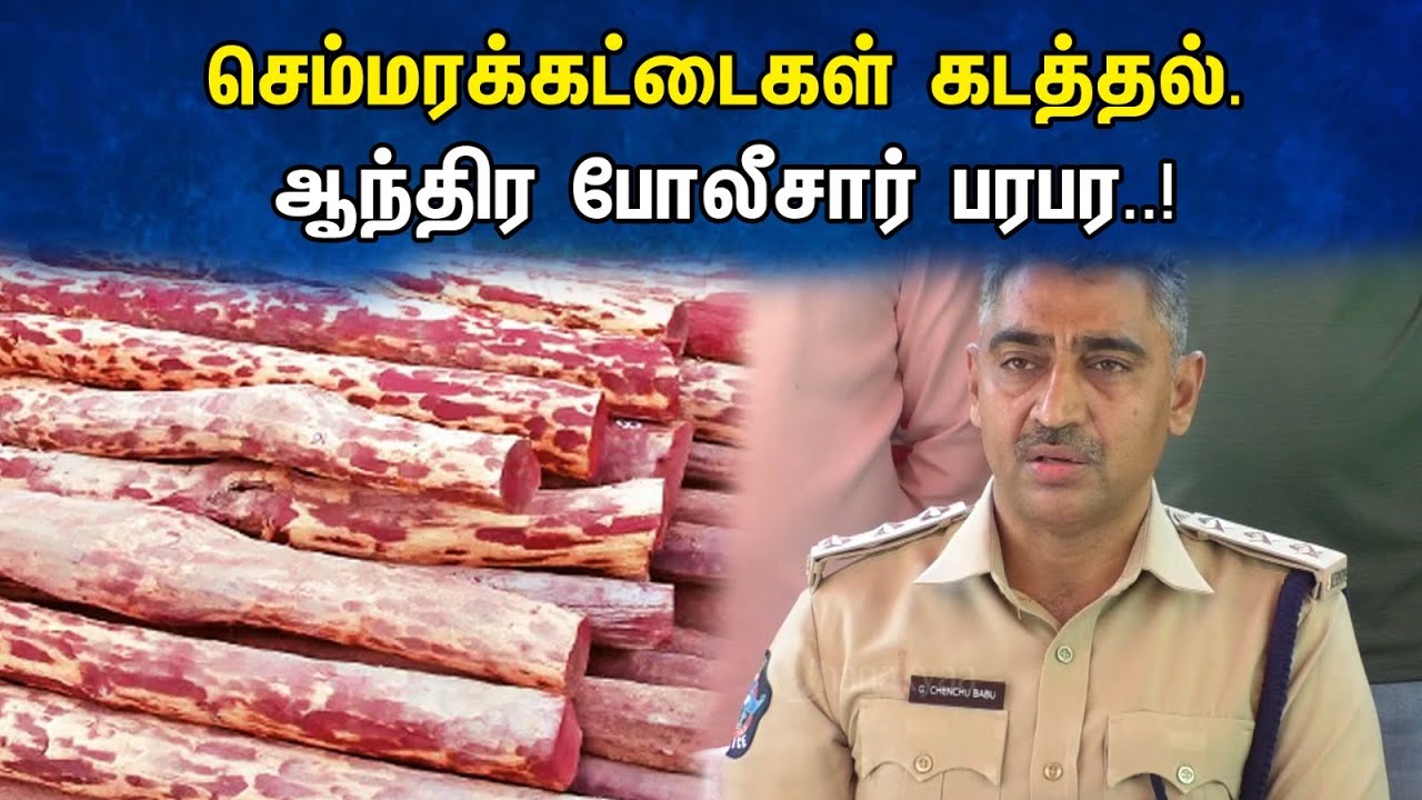 செம்மரக்கட்டைகள் கடத்தல்...! ஆந்திர போலீசார் பரபர..! | Andhra Anti-Smuggling Division Police |