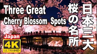 日本三大桜の名所 Three Great Cherry Blossom Spots of Japan 弘前公園 吉野山 高遠城址公園 観光 旅行 sakura 満開桜 桜吹雪 花筏 お花見 桜まつり