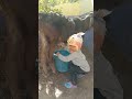 #viral #shorts