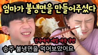 지옥의 매운맛🌶 엄마가 집에서 불냉면을 해주셨어요 (송주 불냉면 맞습니다) 마이린 TV