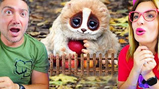 ألطف الحيوانات في العالم