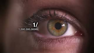 What's The Most Expensive Thing Ever