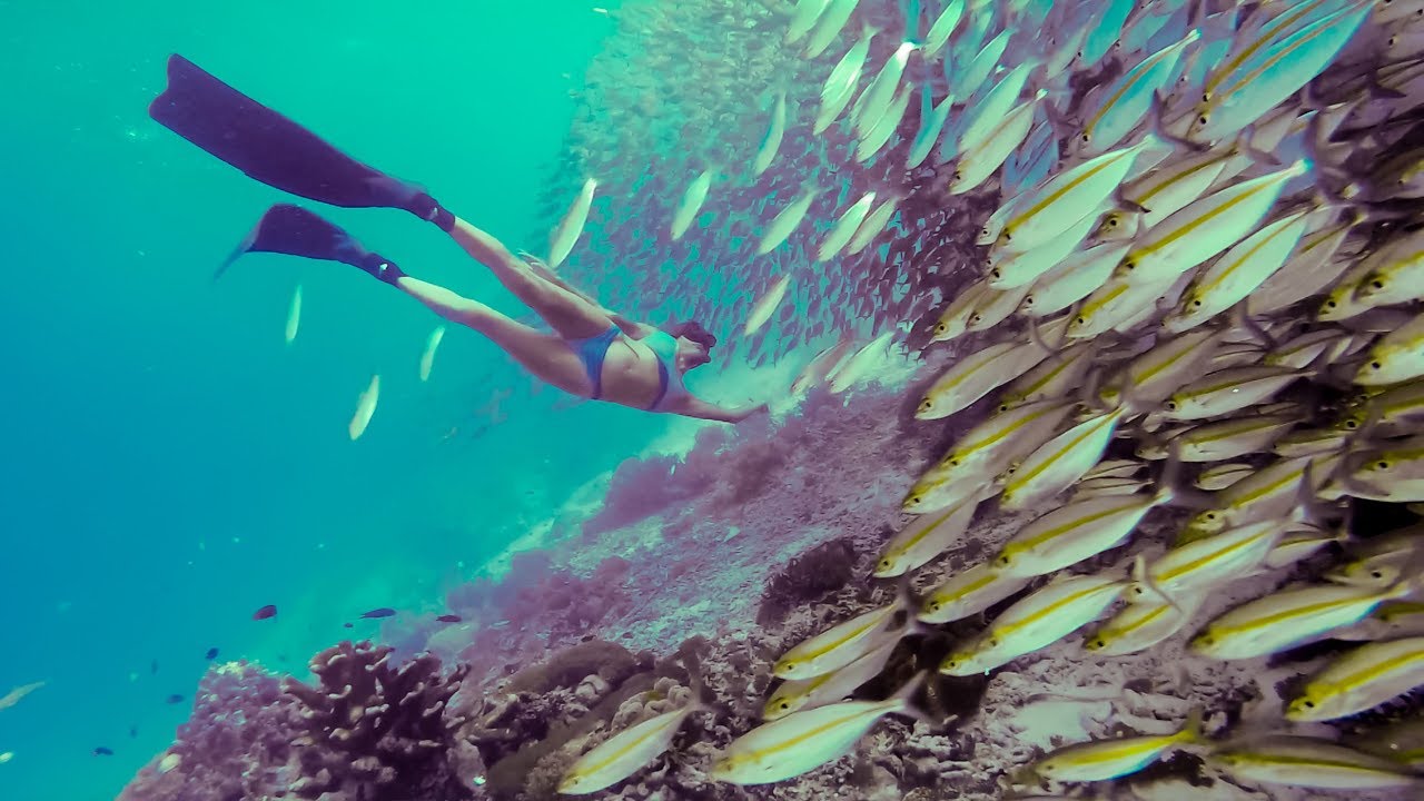 Swimming with the BIGGEST School of Fish EVER! (Sailing Nandji) Ep 95