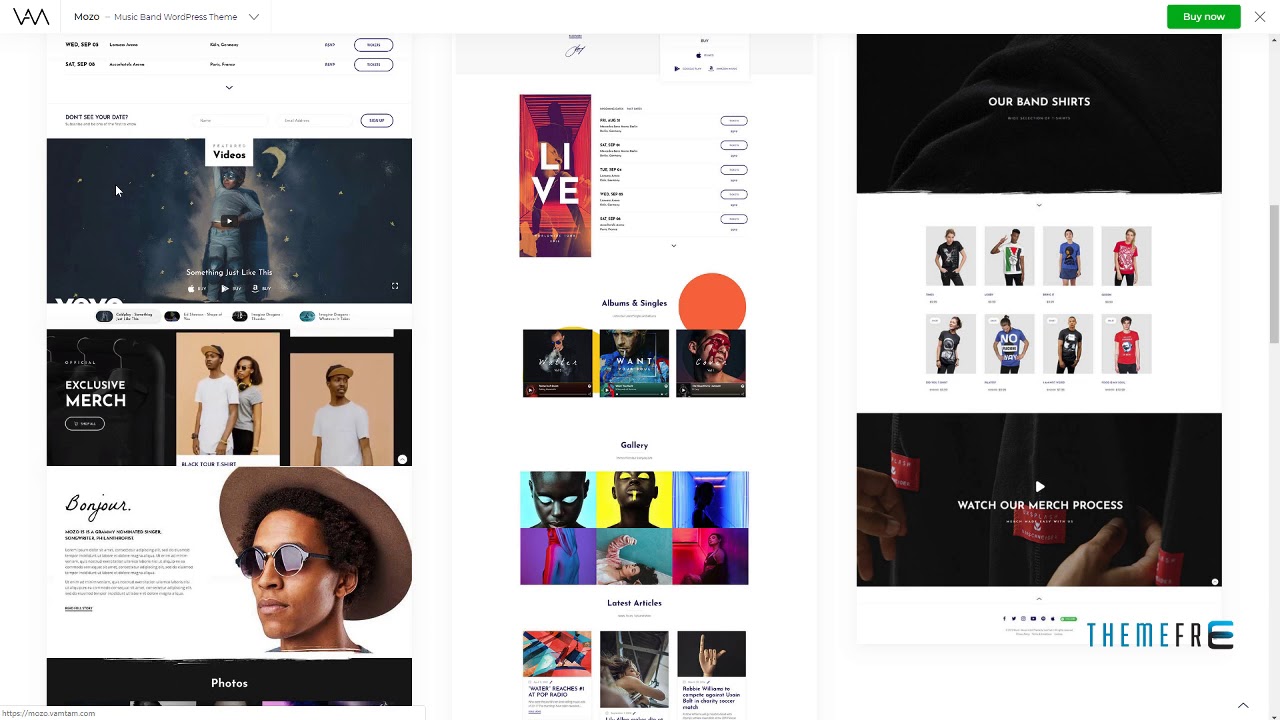 Music Band WordPress - Mozo Tatton Briscoe