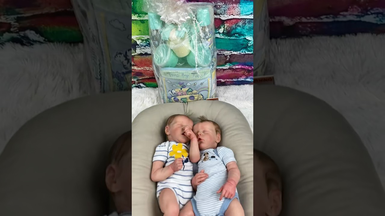 Vintage Twin Babies Diaper Bag Unboxing for Reborn Dolls