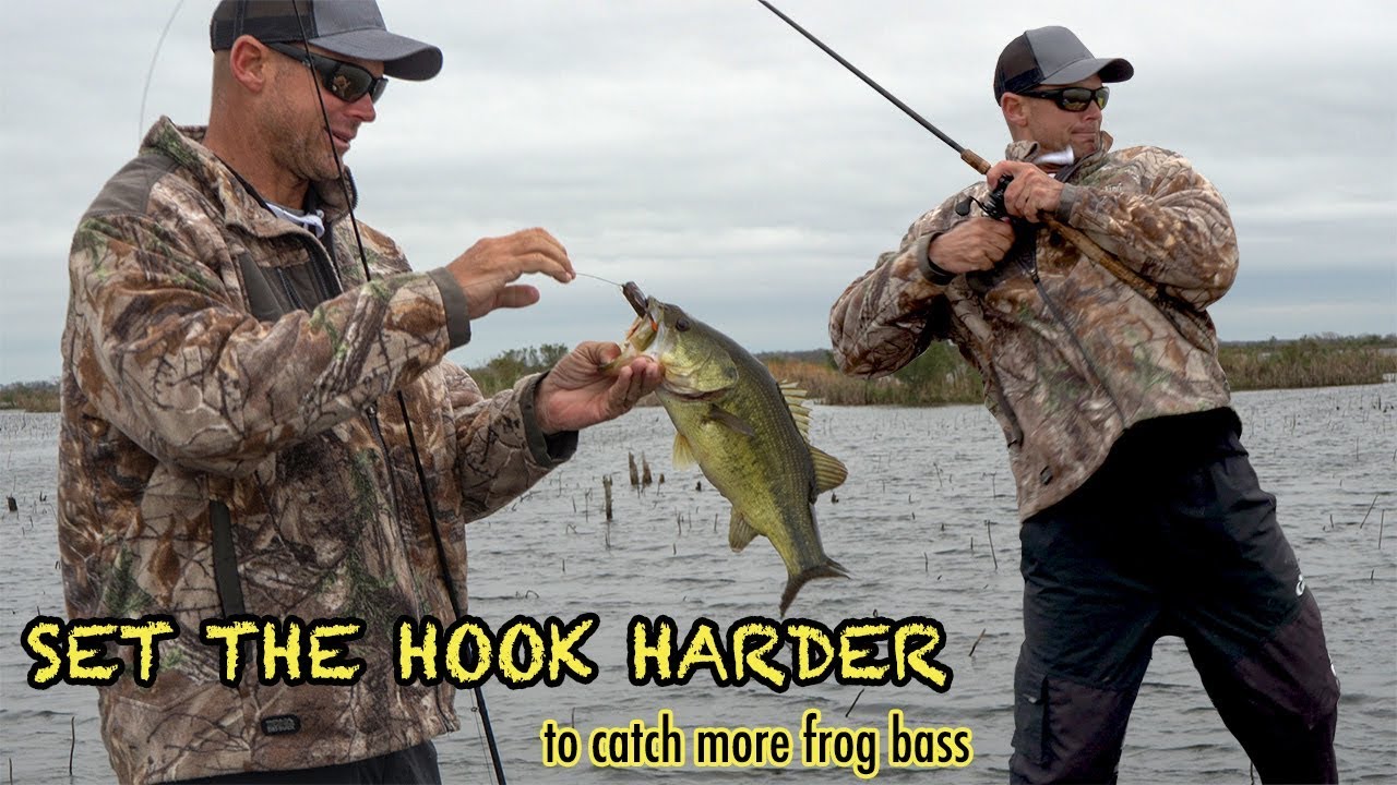 Set the Hook as Hard as You Can when Frog Fishing 