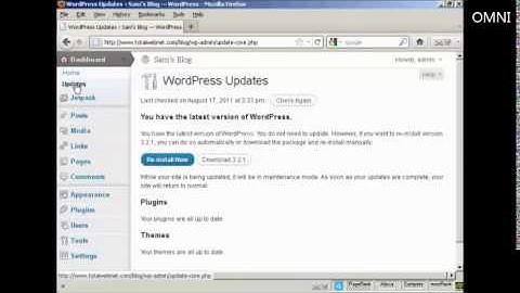 How to Upgrade Wordpress and Themes Automatically