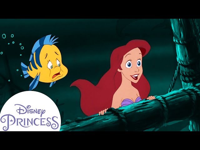 La Sirenetta Ariel con Flounder 16 cm Disney Traditions 4054274 