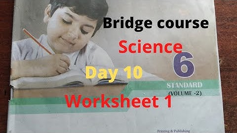 6th Science Bridge course answers Day 10/@GjStudies