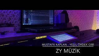 Mustafa Kaplan - Yeşil Ördek Gibi (Offical) 2020