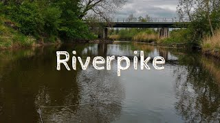 FLY FISHING FOR RIVER-PIKE