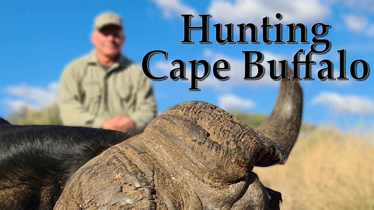Hunt Zebra in South Africa - YouTube