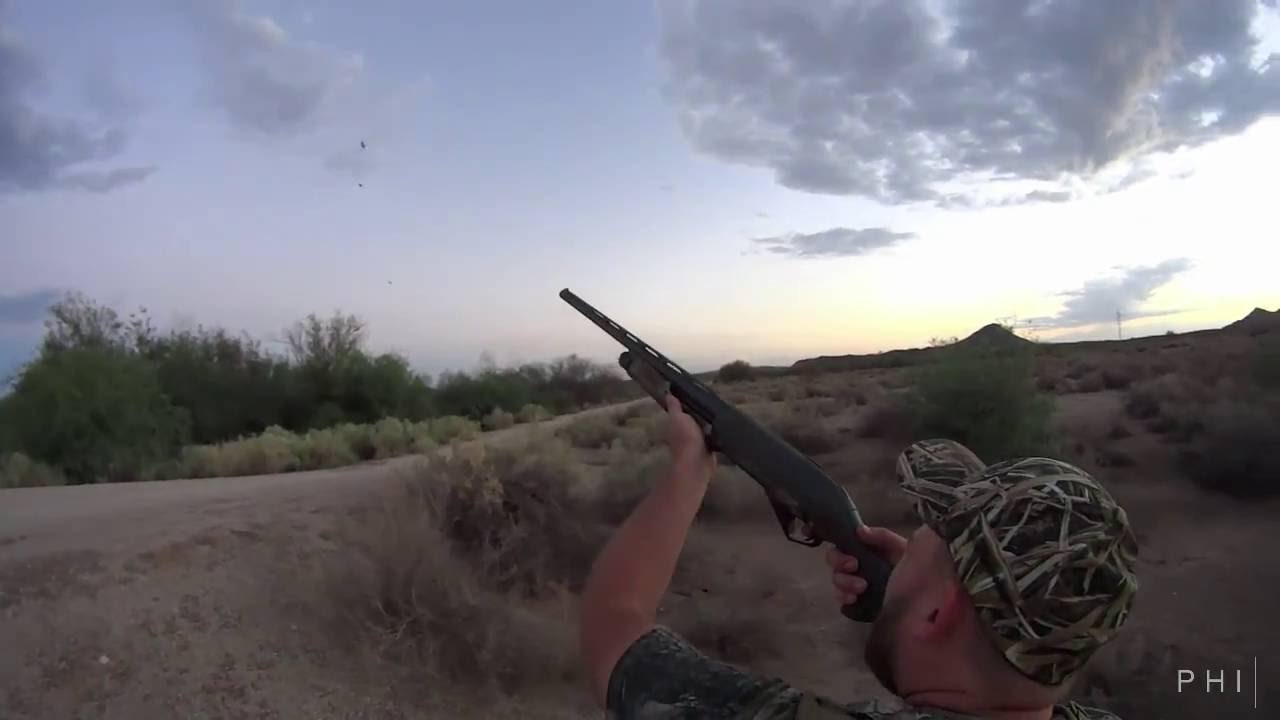 Strange Bird Arizona Dove Hunt 2016 YouTube