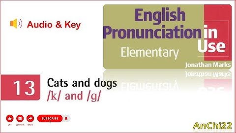 Unit 13 Cats and dogs - English Pronunciation in Use Elementary