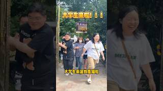 大学生遛狗撸猫中，假期还剩两天 缅因猫 端午节 大学生遛狗