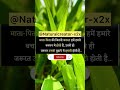 Maa baap #shortsfeed #shortsvideo #shorts #shortvideo #shortsviral
